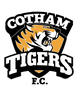 Cotham Tigers